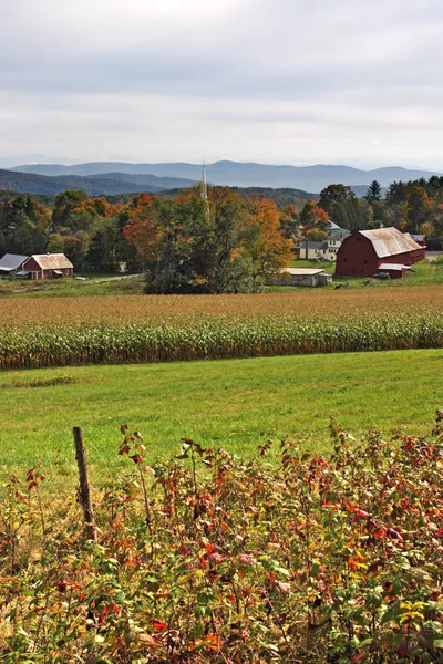 Fall Gebladerte Vermont Usa — Stockfoto