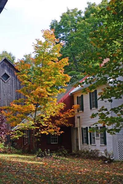 Осенняя Листва Вермонте Сша — стоковое фото