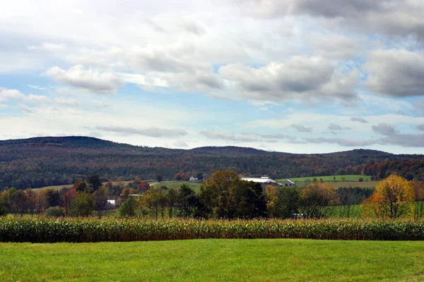 Herbst Laub Vermont Usa — Stockfoto