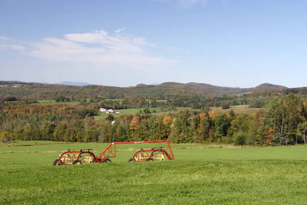 Sonbaharda yapraklar, Vermont, ABD