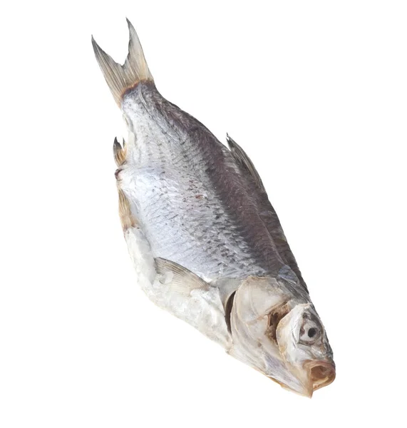 Uzená Ryba Izolované Bílém Pozadí — Stock fotografie