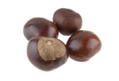 kestane rengi beyaz arkaplanda izole