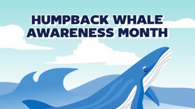 Kambur balina sürdürülebilirliği için kambur balina farkındalık ayı