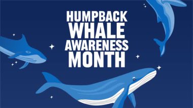 Kambur balina sürdürülebilirliği için kambur balina farkındalık ayı