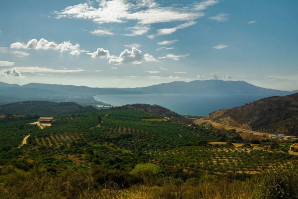 Manzara panorama kıyı şeridi Akdeniz. Zeytin ağaçları korusu. Girit adası. Yunanistan. Avrupa.