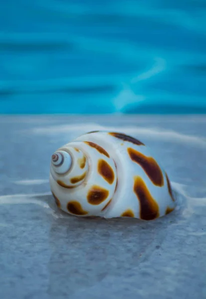 Gün Batımında Mavi Gökyüzü ve Beyaz Bulutlar ile Güzel Deniz. Yunanistan, Avrupa. Dağlardan uzaktaki denize bak. Gün batımındaki dalgalar. Okyanus, görmek, dalgalar, gün batımı, gündoğumu, seyahat, tatil, aşk, gökyüzü, bulutlar, su.