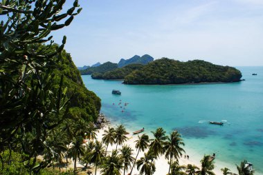 Bir adada plaj ve Hindistan cevizi ağaçları mu Ko Ang Thong Ulusal