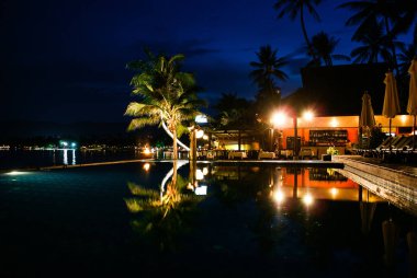 Havuza yansıyan palmiye ağaçlarının gece görünümü, b