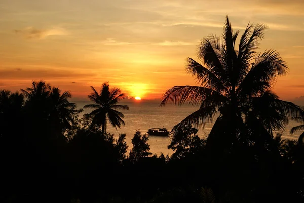 Silhuetas de palmeiras e navio no fundo de laranja s — Fotografia de Stock