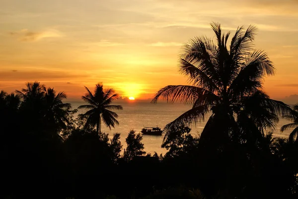 Silhuetas de palmeiras e navio no fundo de laranja s — Fotografia de Stock