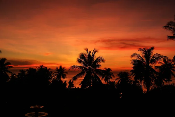 Silhouetten von Palmen auf dem Hintergrund des roten Sonnenuntergangs am — Stockfoto