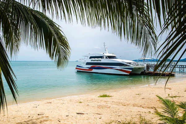 High-speed catamaran stands at the pier, located on a sandy beac — Stock Photo, Image
