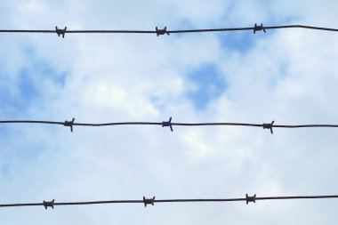 çit dikenli hapishane barbwire savunma metal güvenlik koruma hapis askeri sınır