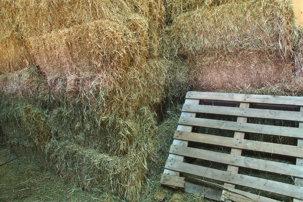 Palete de feno fundo país rural palha armazenamento agricultura fazenda celeiro — Fotografia de Stock