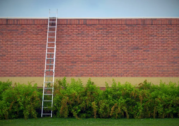 Ladder over muur zakelijk succes concept motivatie oplossingen — Stockfoto