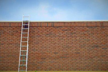 duvar finans özgürlüğü üzerinde başarılı iş çözümü merdiveni 