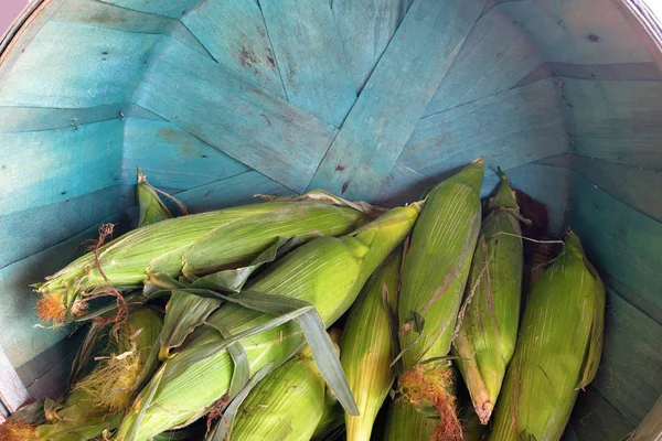 Milho na cesta de espiga mercado agrícola doce fazenda local — Fotografia de Stock