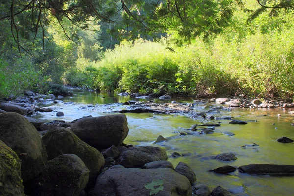 Ruisseau Fluvial Ruisseau Eau Coulant Dans Forêt Avec Des Roches — Photo