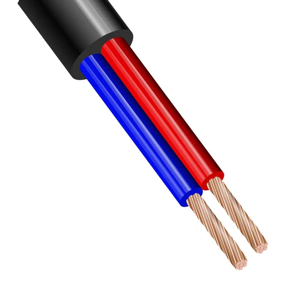 Cable de cobre eléctrico flexible de dos hilos aislado sobre fondo blanco. Cable multicore de cobre con aislamiento de doble color. Primer plano de la sección transversal. Alambre eléctrico . — Vector de stock