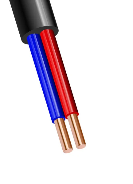 Câble électrique flexible en cuivre à deux fils isolé sur fond blanc. Câble multicore en cuivre avec isolation double couleur. Gros plan de la section transversale. Fil d'alimentation . — Image vectorielle