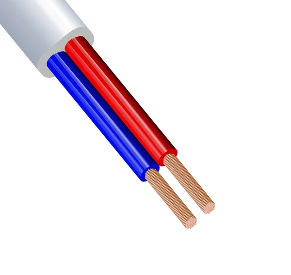 Cabo de cobre elétrico flexível de dois fios isolado em fundo branco. Cabo multicore de cobre com isolamento de cor dupla. Close-up da secção transversal. Fio elétrico . — Vetor de Stock