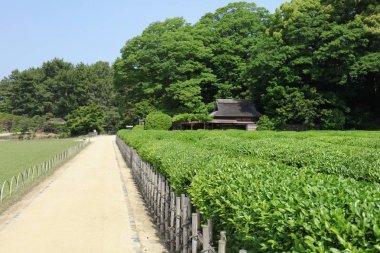 üç en ünlü bahçeleri olduğunu