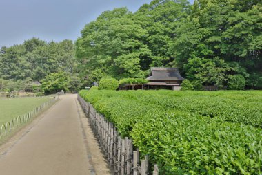 üç en ünlü bahçeleri olduğunu