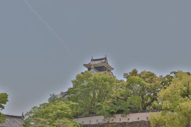 Okayama Castle Japonya 'da kale Kulesi