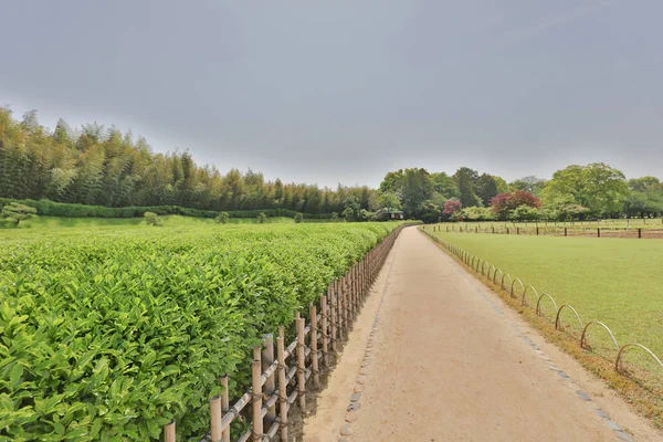 üç en ünlü bahçeleri olduğunu