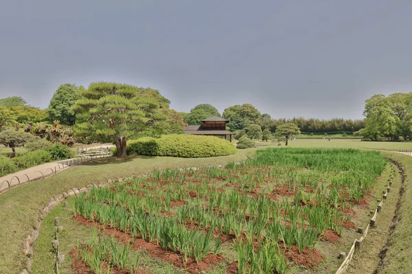 üç en ünlü bahçeleri olduğunu