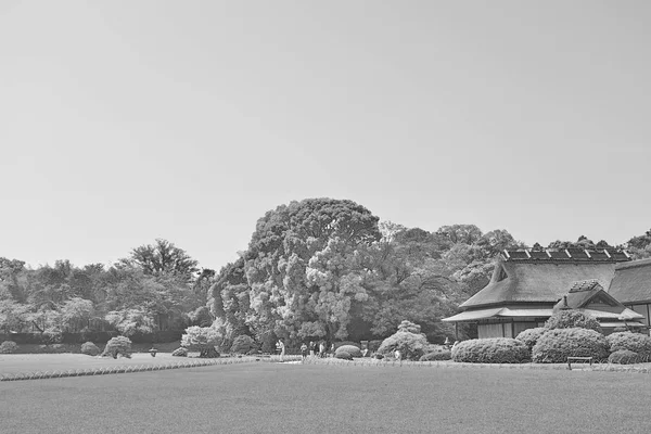 後楽園 日本庭園日本 — ストック写真