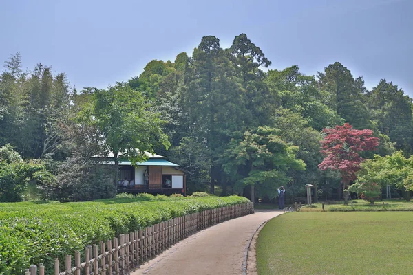 Korakuen Jardin Japonais Okayama Japon — Photo