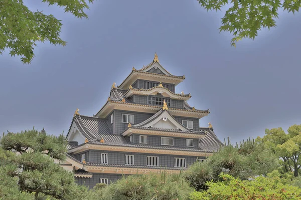 Okayama Kasteel Kanaal Stad Okayama — Stockfoto