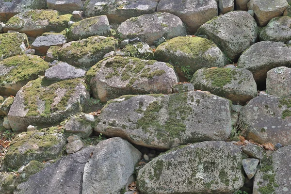 Okayama Kalesi Japonya temeli