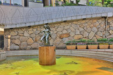 Okayama, Japonya gölette bahar