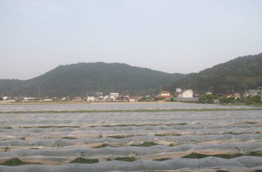 Japon ülke tarafında bir görünümünü
