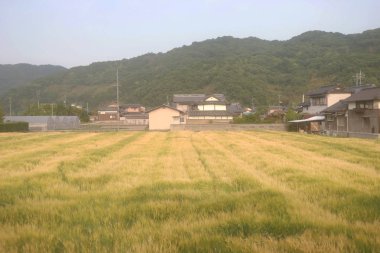 Japon ülke tarafında bir görünümünü