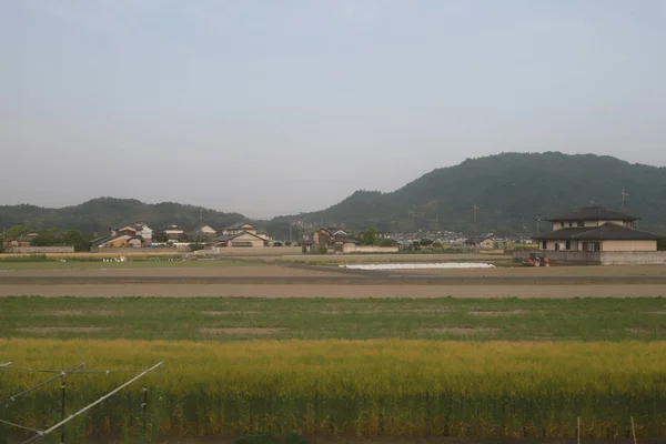 Een Weergave Van Het Japanse Platteland — Stockfoto