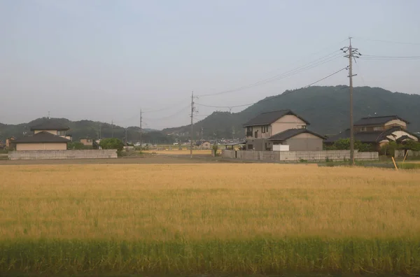 Utsikt Över Den Japanska Landsbygden — Stockfoto