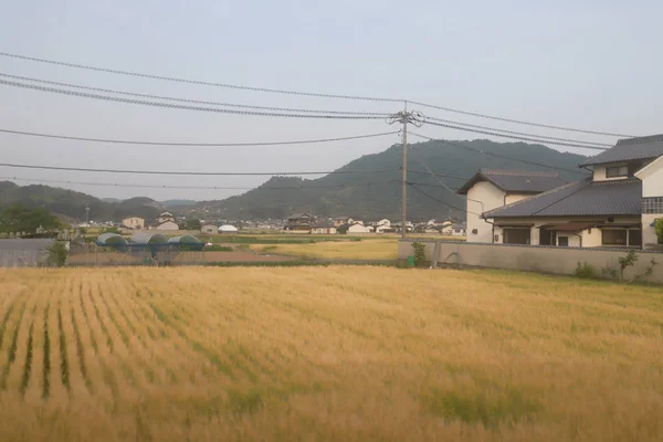 Een Weergave Van Het Japanse Platteland — Stockfoto