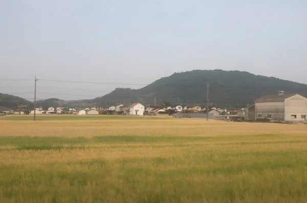 Een Weergave Van Het Japanse Platteland — Stockfoto