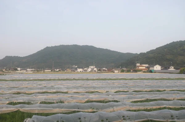 Een Weergave Van Het Japanse Platteland — Stockfoto