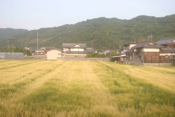 Una Vista Del Lado Del País Japonés — Foto de Stock