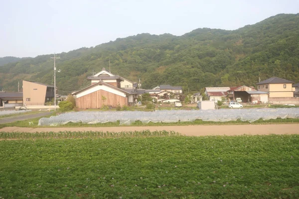 Una Vista Del Lado Del País Japonés —  Fotos de Stock