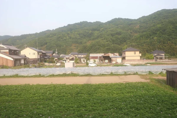 Japon ülke tarafında bir görünümünü