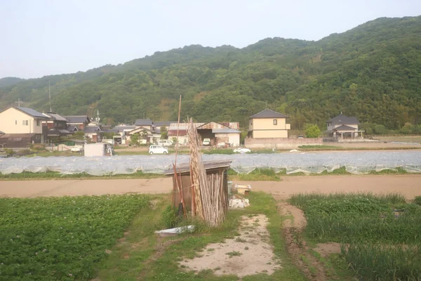 Ein Blick Auf Die Japanische Landseite — Stockfoto