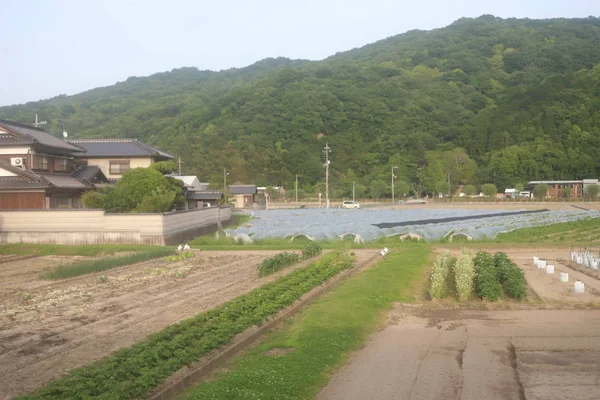 Japon ülke tarafında bir görünümünü