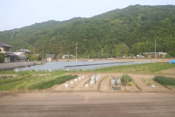 Japon ülke tarafında bir görünümünü