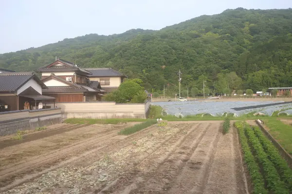 Japon ülke tarafında bir görünümünü