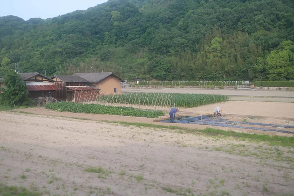 View Japanese Country Side — Stock Photo, Image